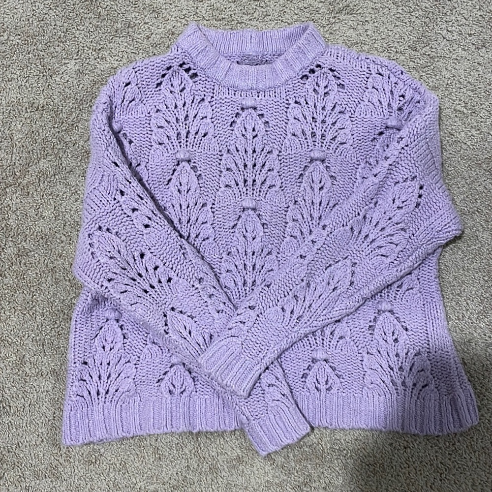 Purple Chunky Aerie Fall Sweater